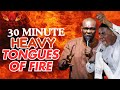 30 MINUTE HEAVY TONGUES OF FIRE || APOSTLE JOSHUA SELMAN AND MIN. VICTOR BAMIGBELE