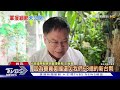 烏軍南部反攻進展緩慢｜俄烏每日一聞｜tvbs新聞｜20230802