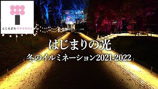 【イベント】冬のイルミネーション2021-2022「はじまりの光」 / Tokorozawa Sakura Town winter illumination