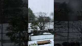 しんしんと降る雪を見る。~20分~