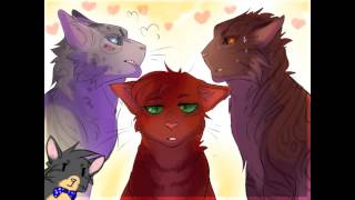 Squirrelflight Couples Rant