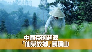 中國茶的起源 「仙茶故鄉」蒙頂山