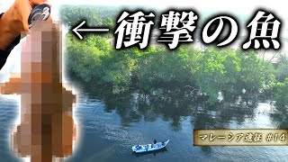 【衝撃】思いもよらない、まさかのスーパー高級魚が釣れる【マレーシア遠征#14】