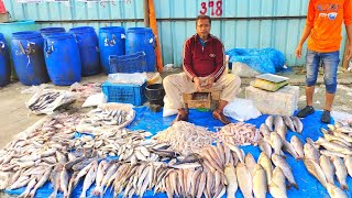 চমৎকার এক মাছের মেলা !Excellent one fish fair!