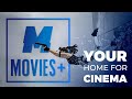 Content - Channel Teaser - Movies + 2022 by Mobibase