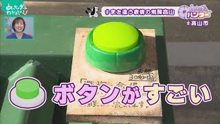 ボタンを押すと？？？【高山市②】 (めっちゃぎふハンター #55)