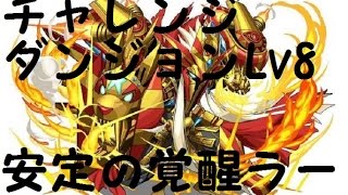 第20回チャレンジダンジョンLv 8に覚醒ラーで挑戦！