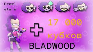 апнул 17 000 кубков в Brawl Stars