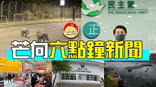 20211122J 6點新聞報導・堅離地獸醫愛野豬發動聯署狂攻漁農署・民主黨問卷問23 條等立場等，引發黨內炒大鑊・環保署打擊叫賣噪音滋擾狂檢控24間鋪・踢爆黃媒禁片年代真相