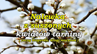 Nalewka z suszonych kwiatów tarniny (  Leczy biegunkę, drogi moczowe ).