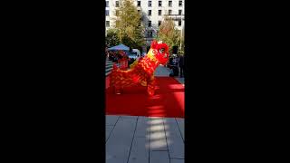 The dragon dance, also known as longwu (龙舞) or longdeng (龙灯),@VividVancouver #youtube