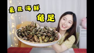 【琪小煮】试吃最丑海鲜“龟足”长相丑陋却能卖到上千元，真的会好吃吗？