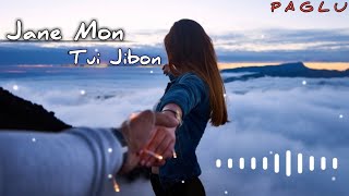 Jane Mon Tui Jibon Full Audio Song With Spectrum Version | Paglu | Swag Melody