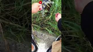 【江江哥愛釣魚】海釣場神奇捅洞釣法，馬上釣到一條大石斑魚 How to catch big fish？#shorts #fishing #釣魚