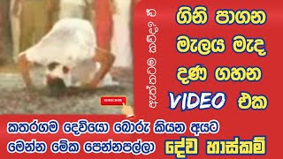 ගිනි පාගන මැලය මැද දනගහන පුදුම හිතෙන Video එක - දේව හාස්කම්