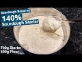 Making One Loaf of Sourdough with 700 GRAMS of Starter