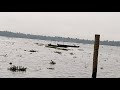 vlog 54 vembanad lake വേമ്പനാട്ട് കായൽ യാത്ര ernakulam swtd 4k cinematic