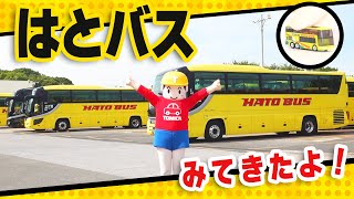 【トミカ】T君がいく！はとバス見学ツアー① （前編）