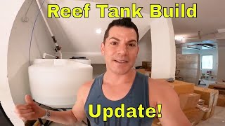 BIG Coral Reeg Tank UPDATE - SPLASH WEEK!