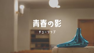 【オカリナソロ】チューリップ -「青春の影」/ 茨木智博　『オカリナでしみじみと懐メロを』番外編