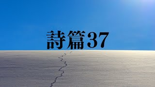 詩篇37