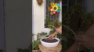Miniature garden ideas #balconydecor #gardendecorideas #gardendecor #miniature #diygardendecor