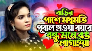 বাড়ির পাশে মধুমতি।। জুলেখা সরকার।। New Bicced Gan 2025।। হবিল সরকার