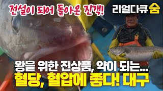 전설이 되어 돌아온 겨울 바다의 진객! | 리얼다큐 숨