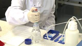 User's Guide: Filtamax Step 6 Staining