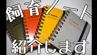 【爬虫類？】普段使ってる飼育ノート紹介します。内容× 本体○　【ノート】