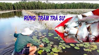 RỪNG TRÀM TRÀ SƯ_Trải Nghiệm Bắt Cá Mè Vinh Lưới Ba Màn Mùa Nước Nổi