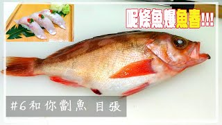 【職人教路 Omakase】目張 メバル 【和你劏魚#6】