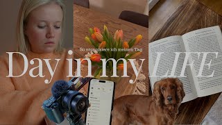 DAILY VLOG 🌷I So organisiere ich meinen Tag 📝I Mindest \u0026 Family Time📚