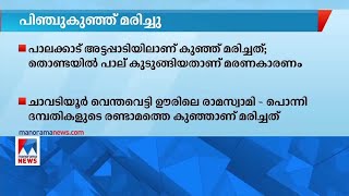 അട്ടപ്പാടിയിൽ 3 ദിവസം പ്രായമുള്ള ആദിവാസി ശിശു മരിച്ചു | Attappadi |  new born baby death