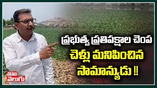 ప్రభుత్వ ప్రతిపక్షాల చెంప చెళ్లు మనిపించిన సామాన్యుడు !! | Common Man On Opposition | Tolivelugu TV