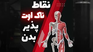 نقاط ناک اوت پذیر بدن