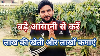 Lakh Crop/Lakh farming/Diverse Indian farming/#vlog on lakh #crop/#subscribe Vimal Srivastav