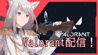 【Valorant配信】猫頑張ります　ぱーと1７（参加型）