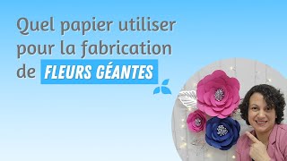 Quel papier utiliser dans la fabrication de fleurs géantes