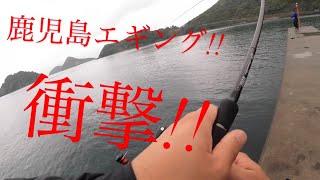 【鹿児島エギング!!】まさかの出来事！