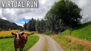 Virtual Run On Gravel Road Towards Old Cabins And a Lake | Virtual Running Videos For Treadmill 4k