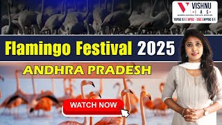 Flamingo festival 2025 | Andhra Pradesh | Pulicatlake  #flamingofestival #appscgroup2