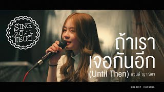 Sing ดิแซนดี้ l ถ้าเราเจอกันอีก (Until Then) - Tilly Birds