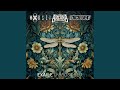 Boost (Arcana, Digicult & MoRsei Remix)