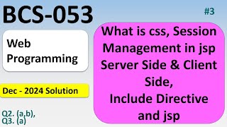 CSS Fundamentals & JSP Session Management | Web Programming Crash Course