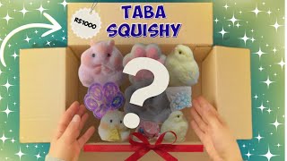 ABRI UMA CAIXA SECRETA COM OS NOVOS TABA SQUISHY’S *tinha um item raro