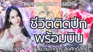 🕊️ ชีวิตติดปีก  พร้อมบินแล้ว 🌞RANDOM ข้อความจากคุรุถึงคุณ 💚