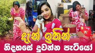 Wathsala Sewwandi | Kandy Guinea Pigs | දැන් ඉතින් නිදහසේ දුවන්න පැටියෝ ඔයාගෙ ලෝකේ 🥺🙏