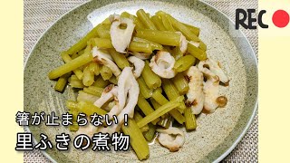 【簡単ふきレシピ】美味しいふきの煮物！田舎料理を食卓へ！手づくりは美味しいですね！