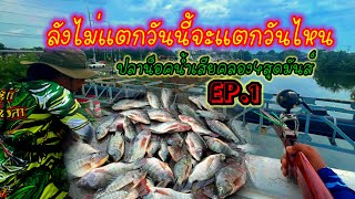 งานนี้ปืนยางวงเป็นต่อ ปลาน็อคคลอง4 สุดมันส์!! |สายคลองพาเพลิน| EP.213